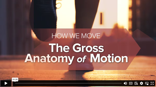 How We Move