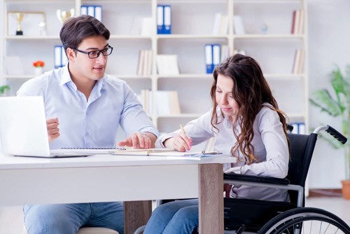 A teacher works with a disabled student in a wheelchair